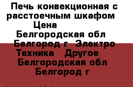 Печь конвекционная с расстоечным шкафом › Цена ­ 70 000 - Белгородская обл., Белгород г. Электро-Техника » Другое   . Белгородская обл.,Белгород г.